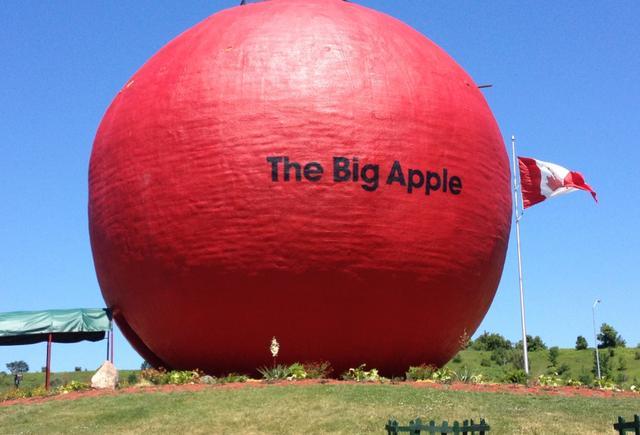 世界上最大的苹果,藏在高速路的休息站里?却因为美食馅饼而闻名