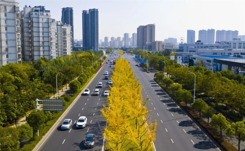 常州有多少人口2021_常州金地格林郡多少栋(2)