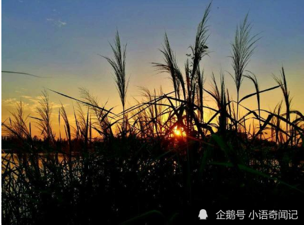 2021年沛县总人口_沛县2021年征兵(2)