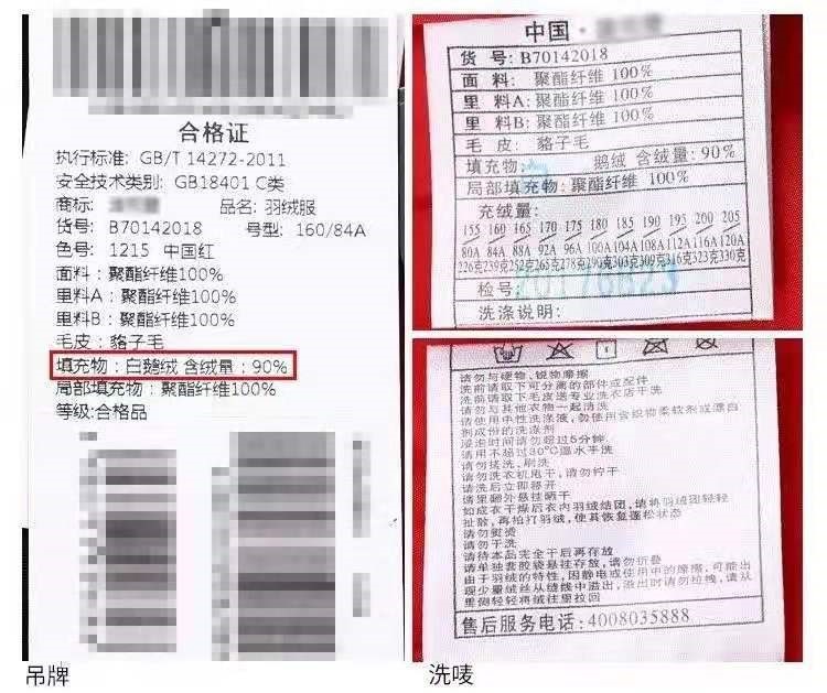 招聘水洗_平凉金点子传媒DM报纸 日第623期 网络读报