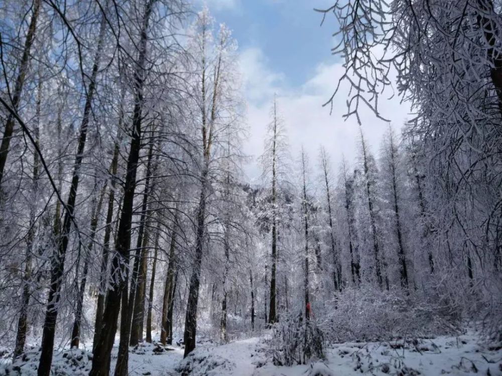 奔哥推荐这几处耍雪地 / 耿达黄草坪 / 黄草坪景区位于汶川县耿达镇