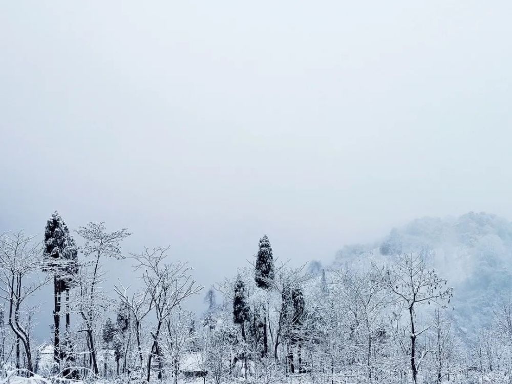 站在赵公山无忧谷观景台上,眼前氤氲的云海别有一番风味.