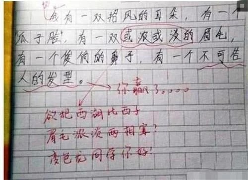 小学生"0分作文"走红,老师认为凑字数,宝妈懵了应该满分