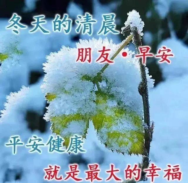 1月14日早上好最棒问候表情祝福语录 清晨最美祝福美图