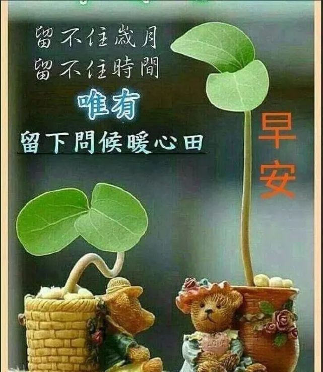 朋友群发送的最美早上好问候祝福,微信暖心早上好美图