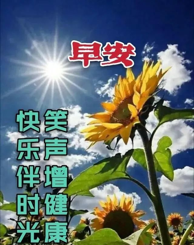 2021最新漂亮早上好图片祝福语带字1月份最美冬日早安问候祝福鲜花