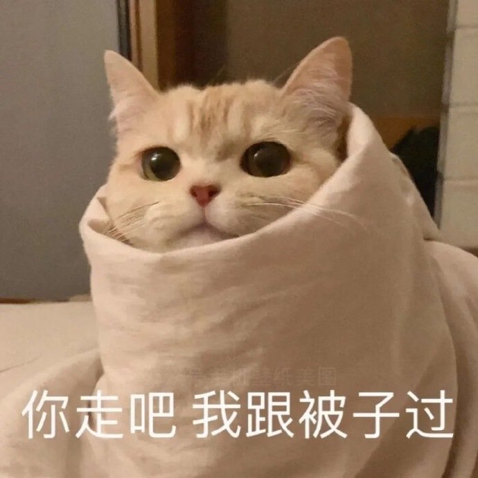 萌宠表情包我们女孩子想要的就必须搞到手