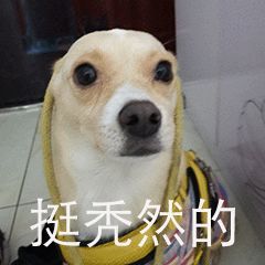 表情包|挺秃然的