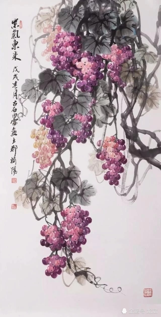 国画写意葡萄作品欣赏!