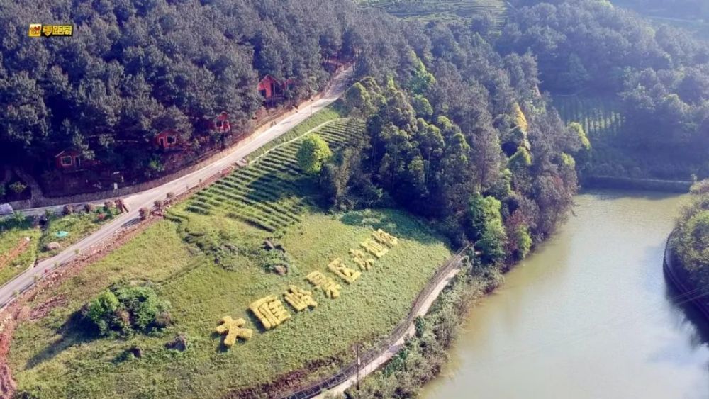 造就了不少景致景区范围很大还有一个红茶庄园大雁岭景区在高县大窝镇