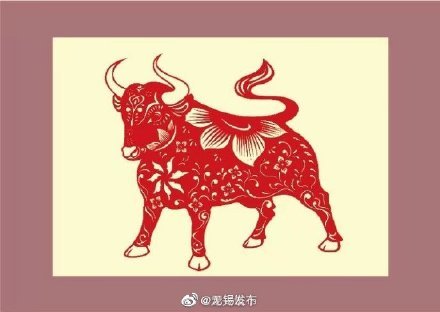 这牛剪纸,剪得太带劲了