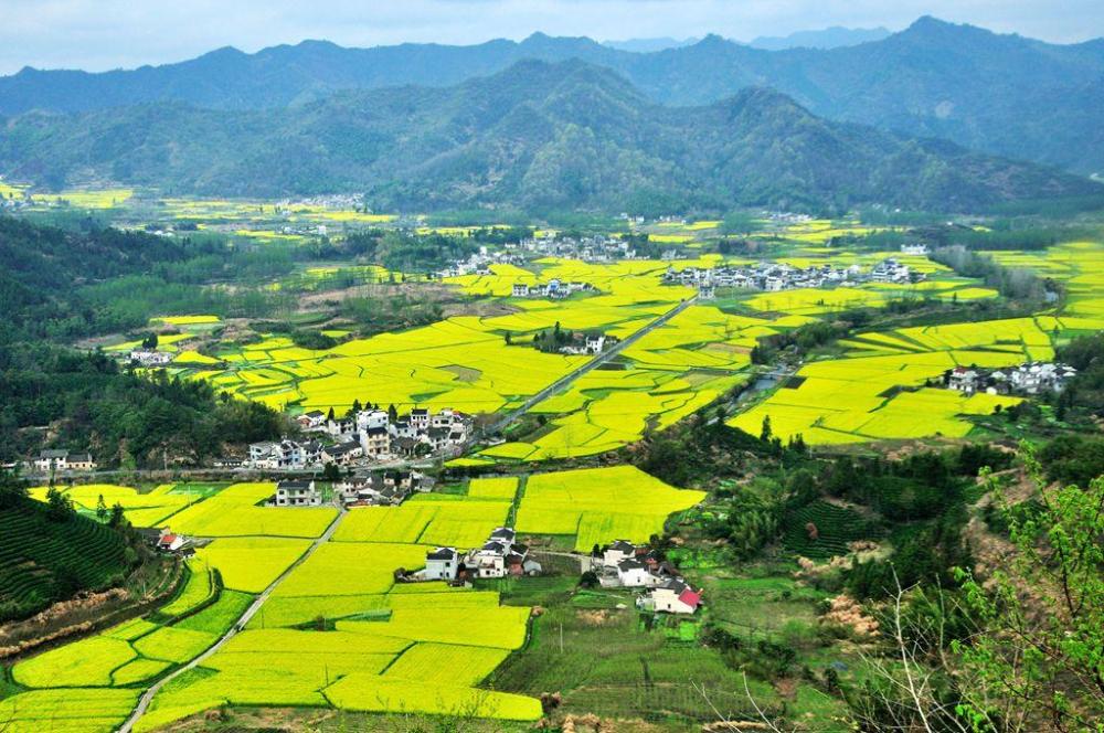黄山人口好少_黄山云雾好风光图片