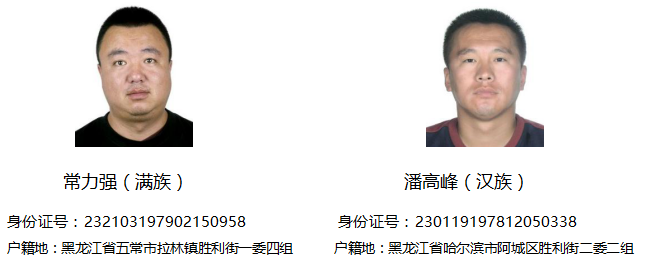 关于征集拉林以潘彦金潘彦忠为首的黑恶势力犯罪集团涉嫌违法犯罪线索