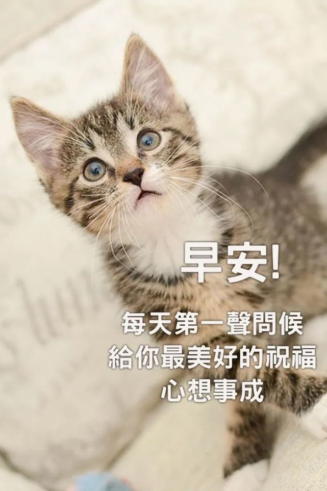 早上好问候语温馨微信早安祝福语大全