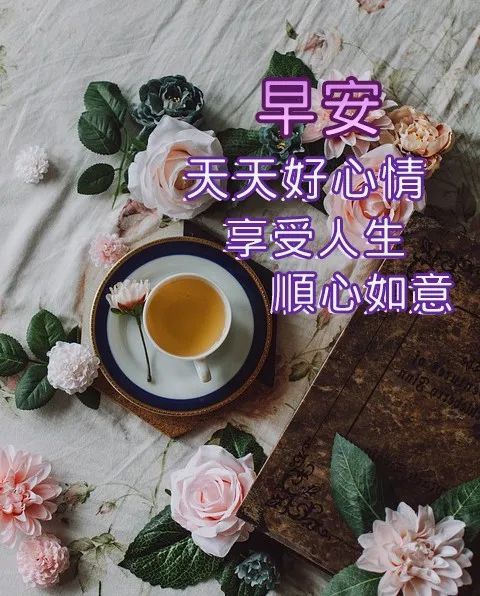 早上好图片大全 早上好的祝福句子