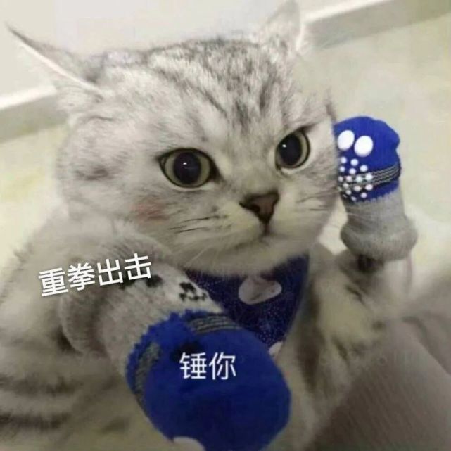 表情包|奥特曼表情包,小猫咪表情包,猫和老鼠表情包