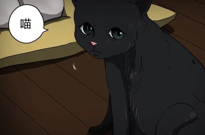 【恐怖漫画】会作揖的猫 邻家小猫会特技,没想到