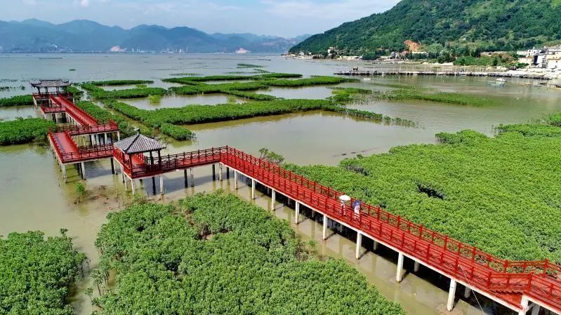 北山红树林公园的美大概是众所周知了,这个网红公园还有人没去过吗?