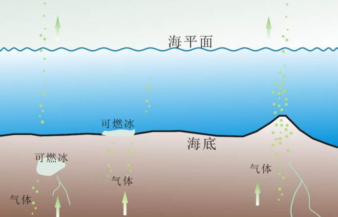 印度多少人口2021年_印度人口分布(2)