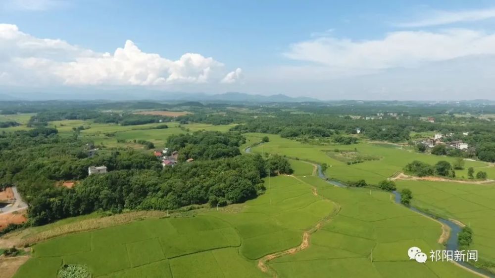 柳州市板桥镇板桥村人口_保山板桥镇板桥街图片(3)