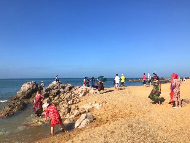 海南东方的鱼鳞洲,每到好天气,海滩上就开满鲜艳的大妈