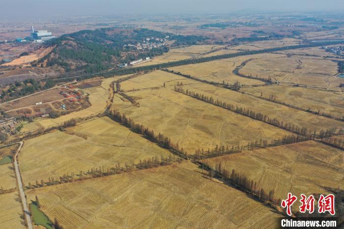 探访江西泉岭乡高标准农田:土地增效,农民增收