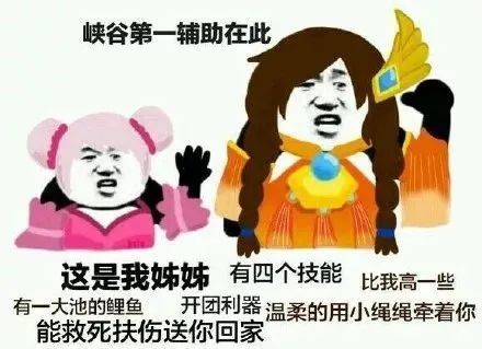wan|王者荣耀沙雕表情包