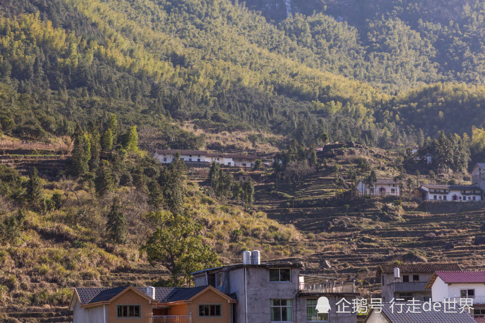 江西省上饶望仙乡有多少人口_上饶望仙谷图片