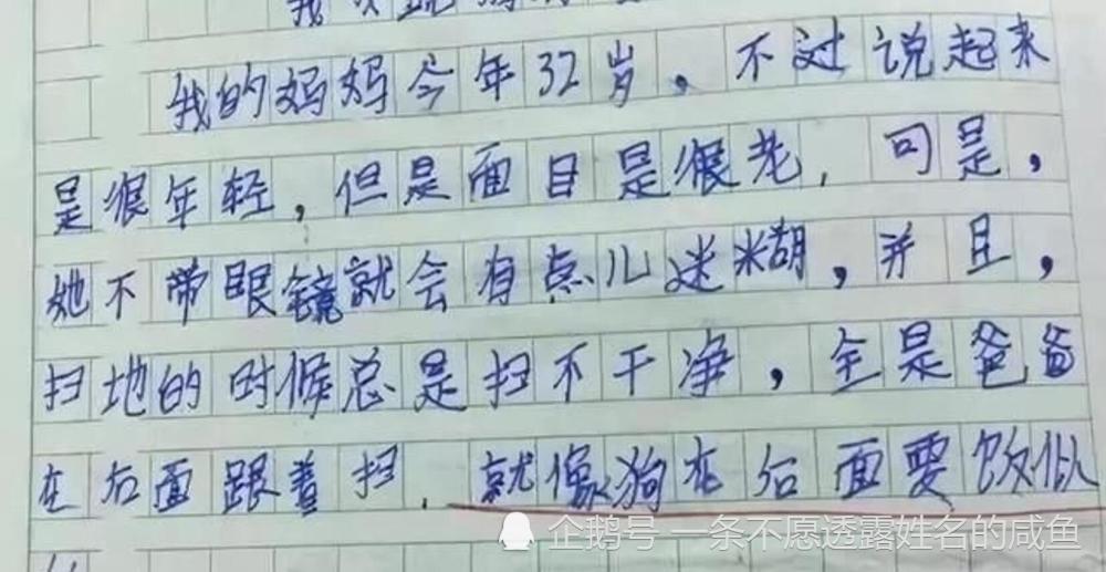 今日话题:小学生搞笑作文集锦,从小就是段子手