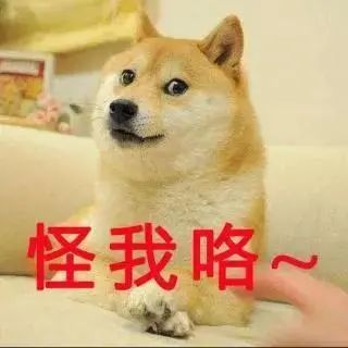 暴击单身狗,微信能设置2个头像了!