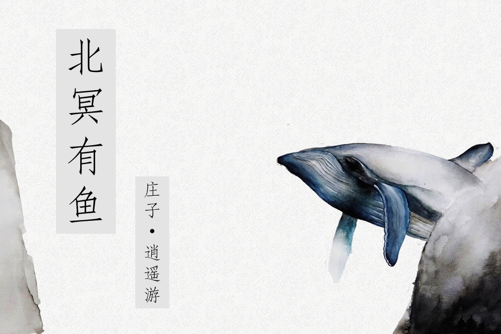 没追求的我们总让道家背锅错了在庄子的逍遥游中找答案