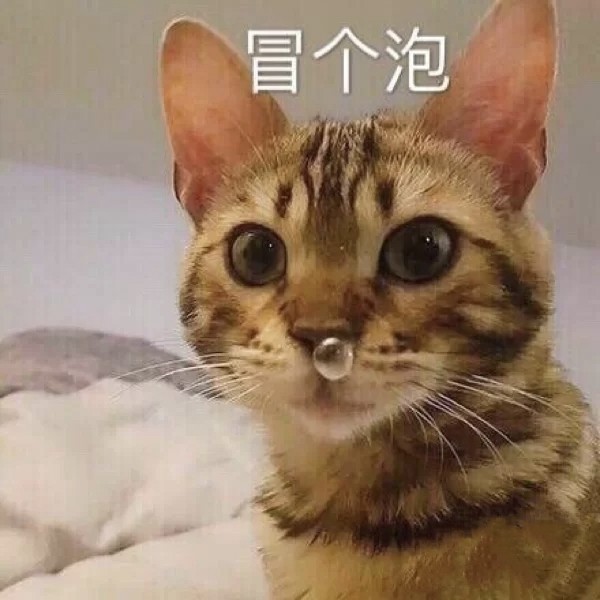 会被赞爆的憨憨沙雕句 表情包!