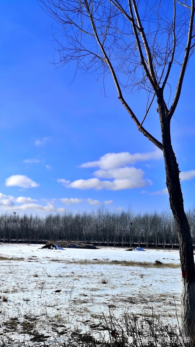 手机壁纸之雪景二