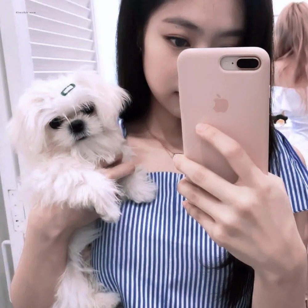 jennie的日常可爱头像
