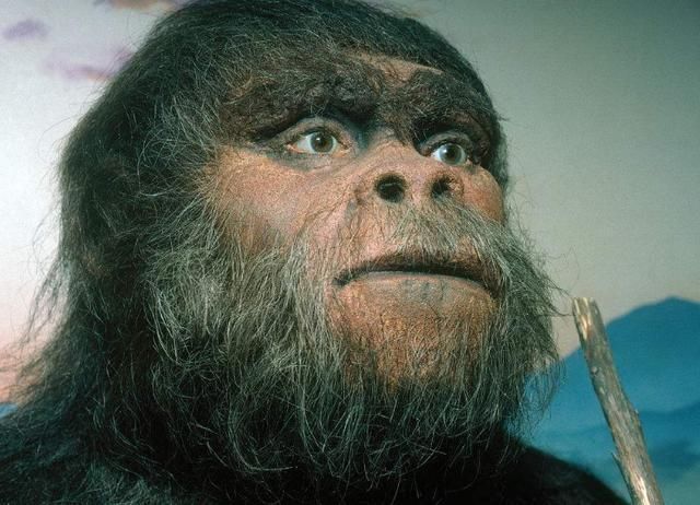 古猿到今人的进化:渐渐褪去体毛之后,为何只保留了这三处毛发?