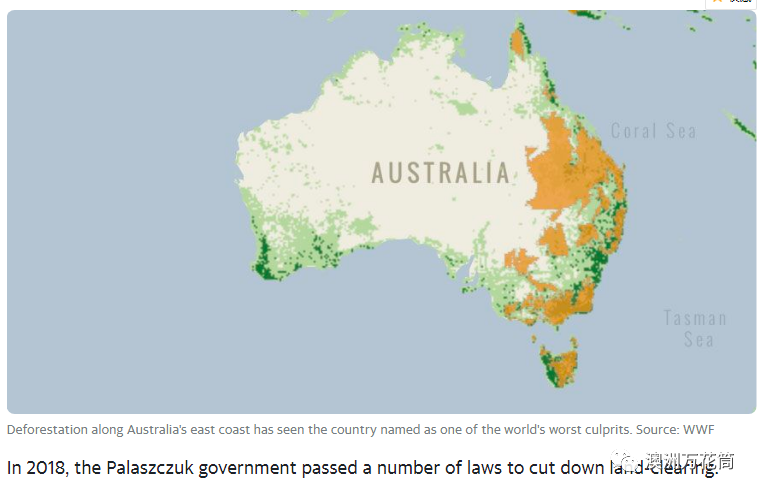 澳洲上榜"过度砍伐森林国家名单 名单中唯一发达国家