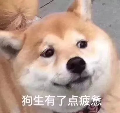 表情包:随便吧
