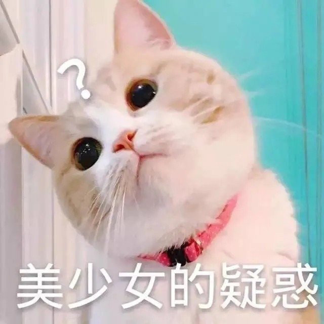 表情包:小猫咪能有什么坏心眼呢