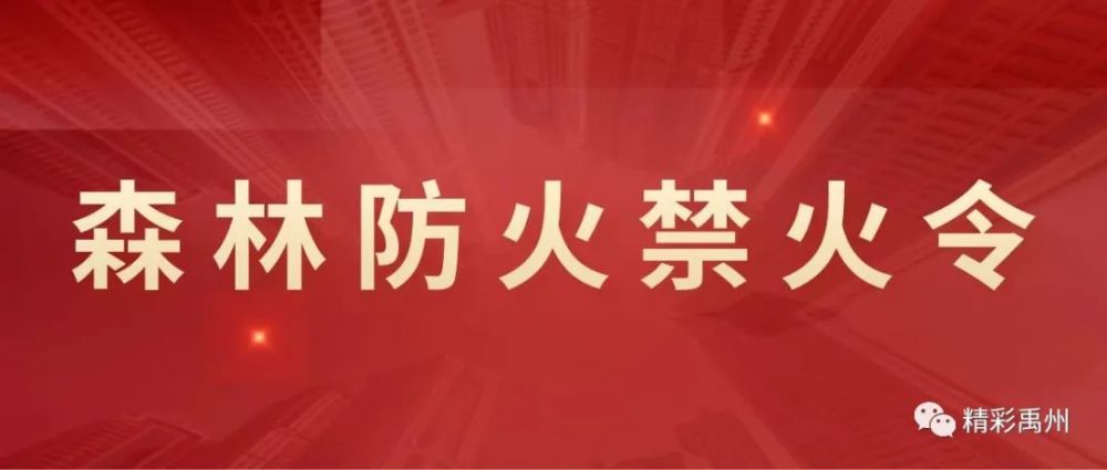 禹州市人民政府办公室印发 《禹州市森林防火禁火令》