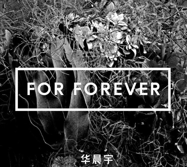 从黑白到红蓝色系:被你忽略的音乐封面,从华晨宇专辑的8首歌进行分析