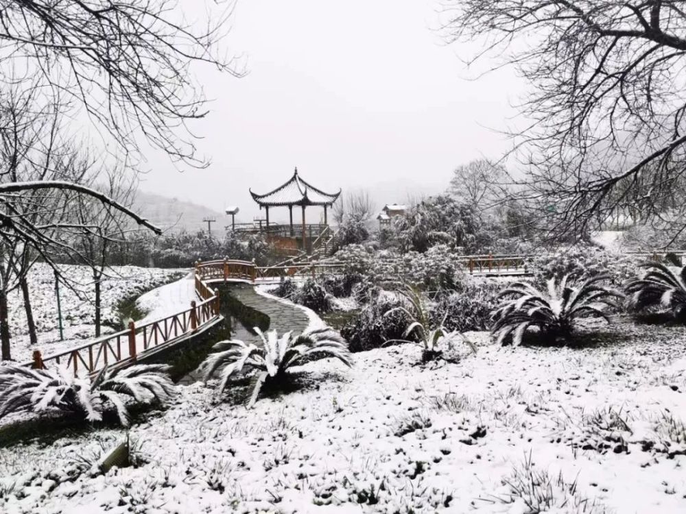 遵义第二场雪如约而至!雪景美!美!美!全市最新路况