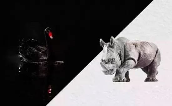 聂辉华:"黑天鹅","灰犀牛"和"大白鲨" ——如何应对各种不确定性?