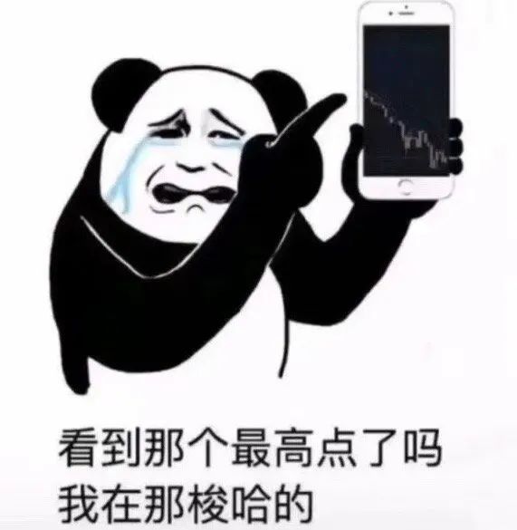 基金表情包:我不是来赚钱的吗?