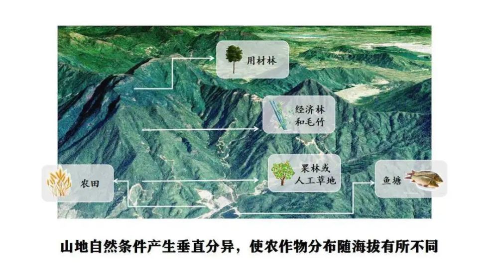 【差异比较】熟制vs复种指数,光照vs热量,积温vs无