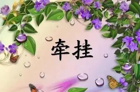 牵挂,总是惦记在心.挂,总是思念于情