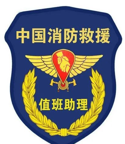 适用人员:消防救援站领导