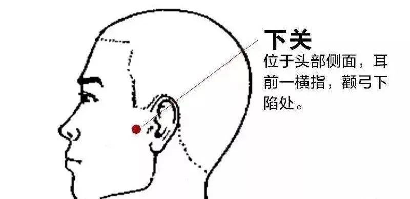 针灸常用腧穴下关