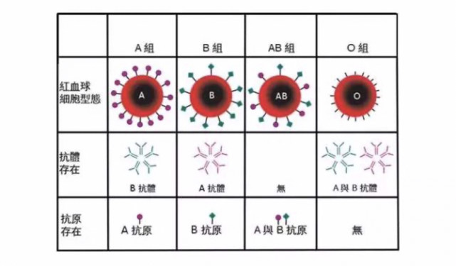 a型b型ab型o型,哪种血型最容易得病?你是哪种血型?