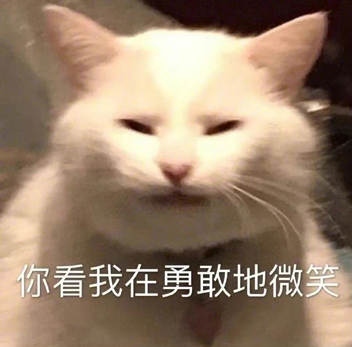 表情包:你看我在勇敢的微笑