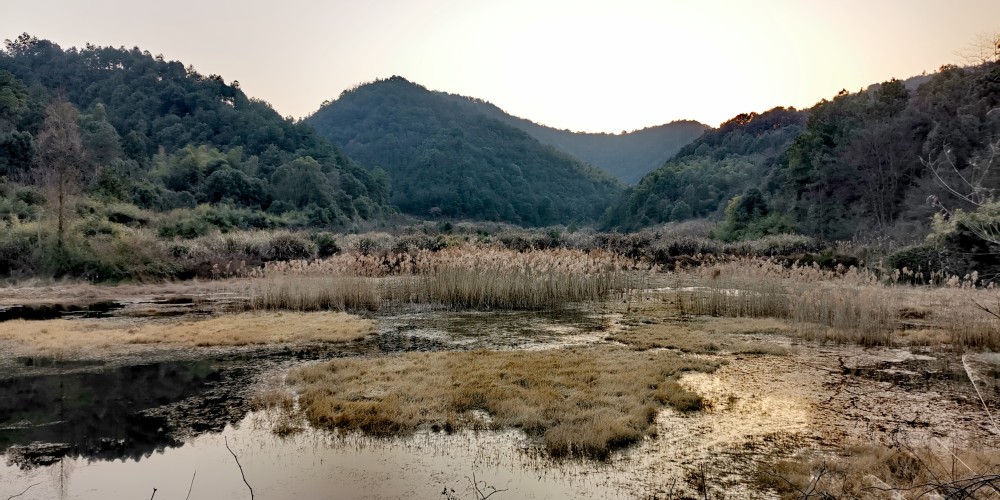 长沙梅溪湖区域新增一处森林公园:象鼻窝森林公园